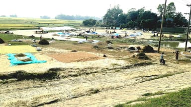 হাওরাঞ্চলে স্বস্তির রোদে ঘুরে দাড়ানোর চেষ্টা কৃষকদের