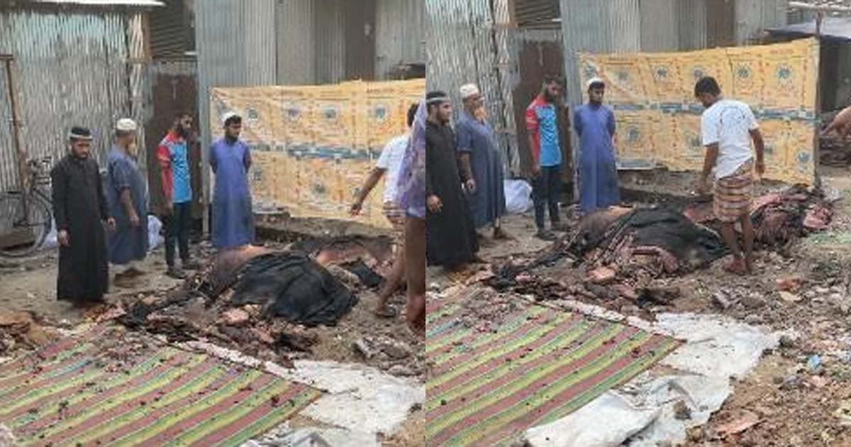 মঠবাড়িয়ায় কোরবানির গরুর চামড়া ‘পানির দরে’ বিক্রি, হতাশ ব্যবসায়ীরা