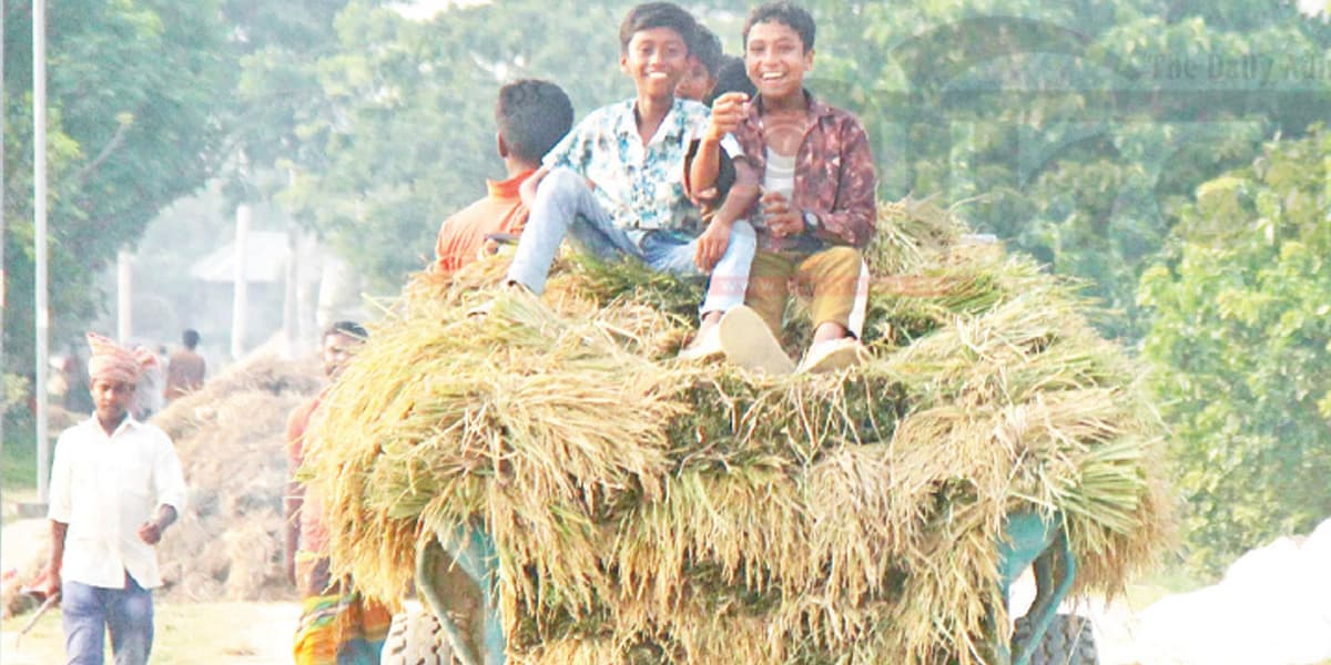 চোখের পলকে ডুবল স্বপ্নের ফসল