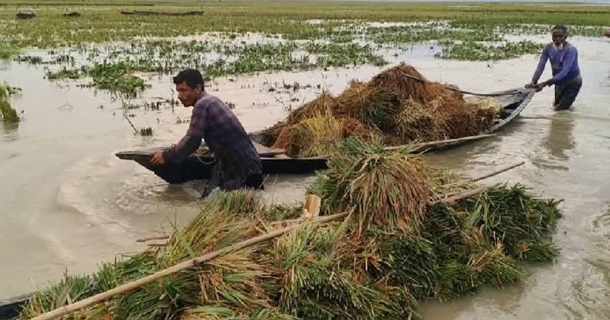 হাওরে বন্যার উন্নতির আভাস