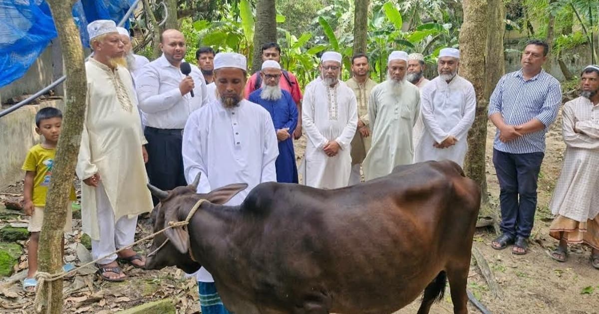 কালীগঞ্জে ইমামকে গাভী উপহার জামায়াতের