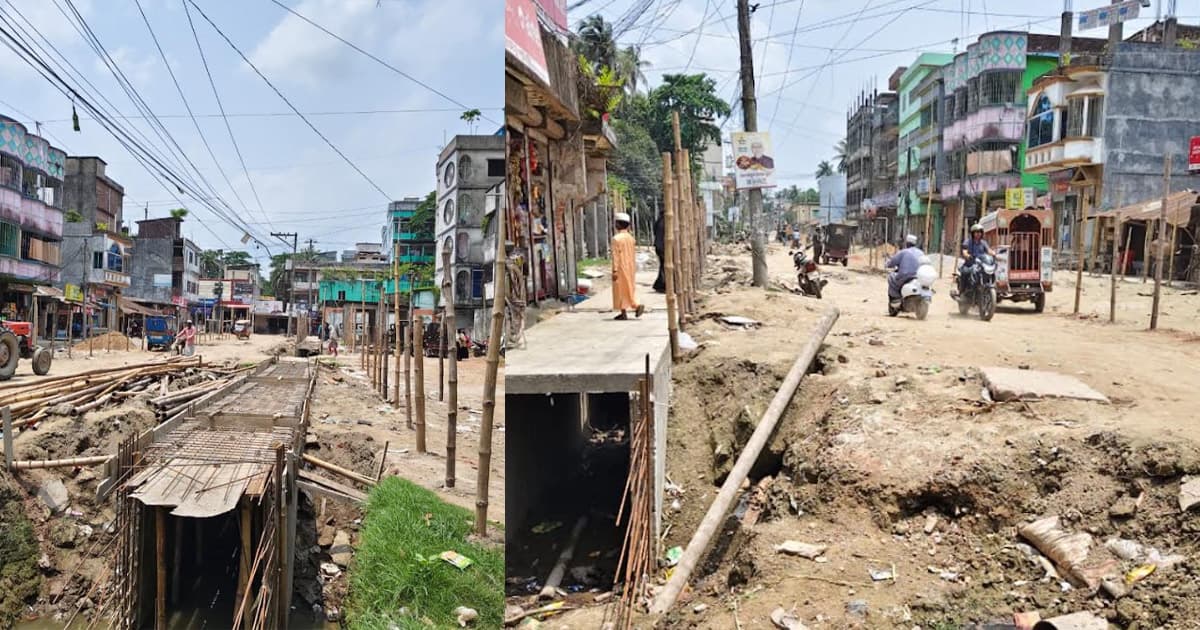 রায়পুরে ঝুঁকিপূর্ণ সড়কে বসেছে পশুর হাট