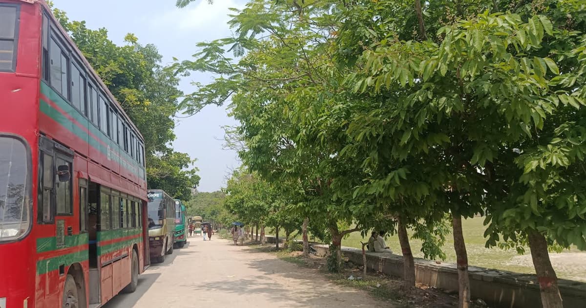 সড়ক সম্প্রসারণে গাছ কাটার ঘোষণায় উত্তপ্ত নজরুল বিশ্ববিদ্যালয়