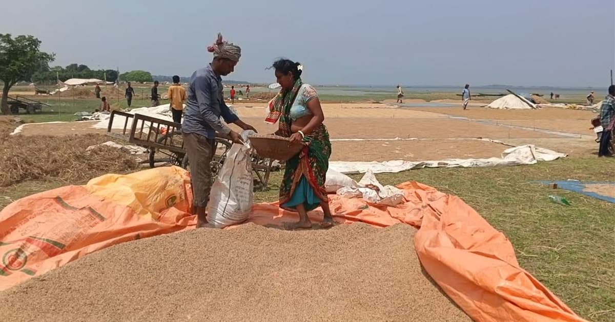 ক্ষতিগ্রস্ত কৃষকদের তথ্যের সাথে সরকারি তথ্যের মিল নেই