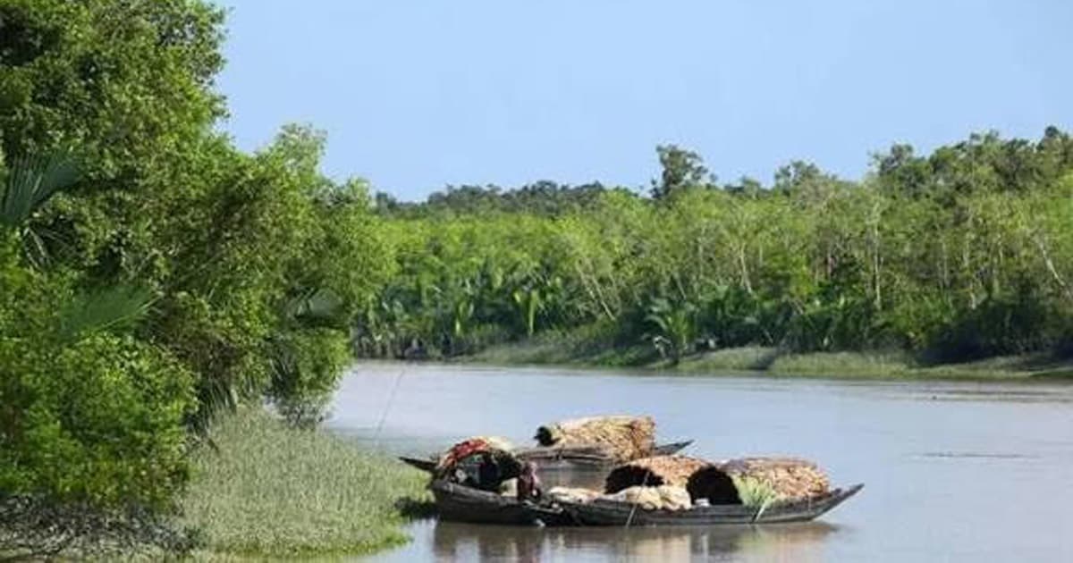 ১৩ দিন পর মুক্তিপণ দিয়ে ফিরলেন ৬ জেলে