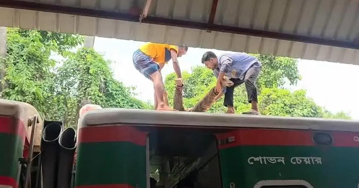 কুষ্টিয়ায় ট্রেনের ছাদে মিলল যুবকের মরদেহ
