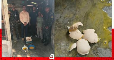 পচা ডিম দিয়ে বেকারি পণ্য তৈরি, জরিমানা