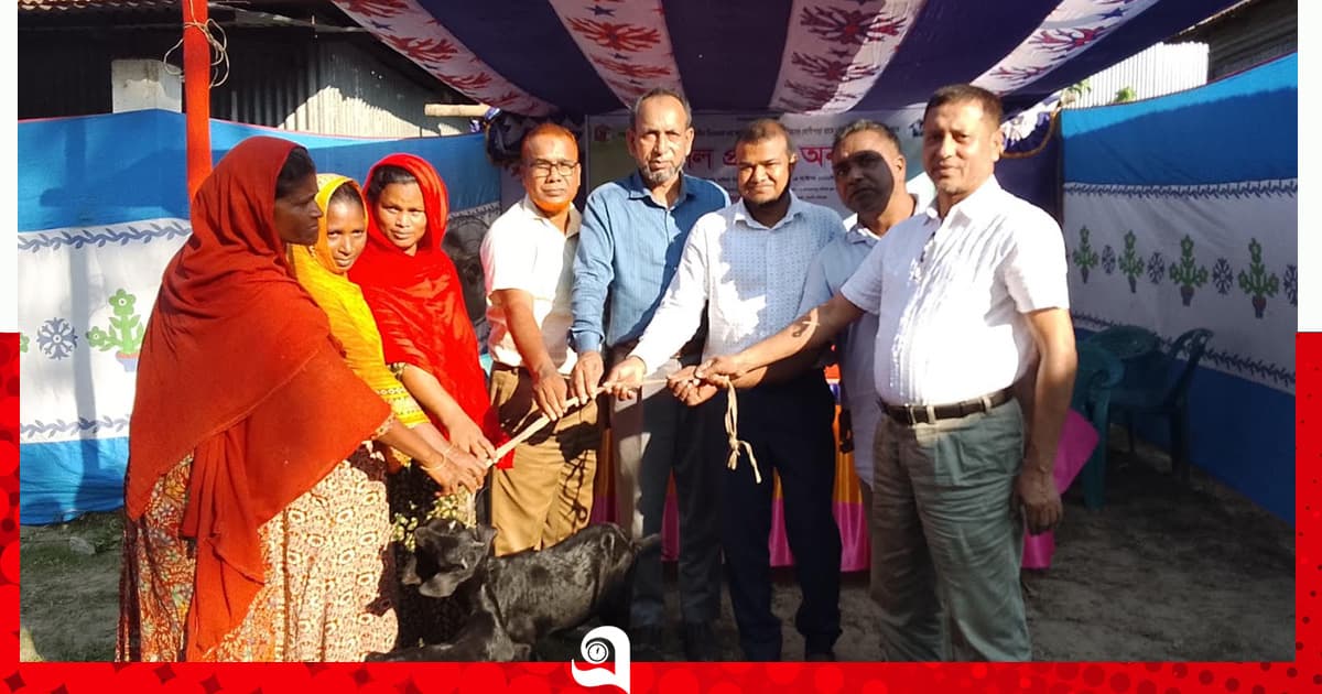 সাঘাটায় ছাগল পেল ১৯ দরিদ্র পরিবার