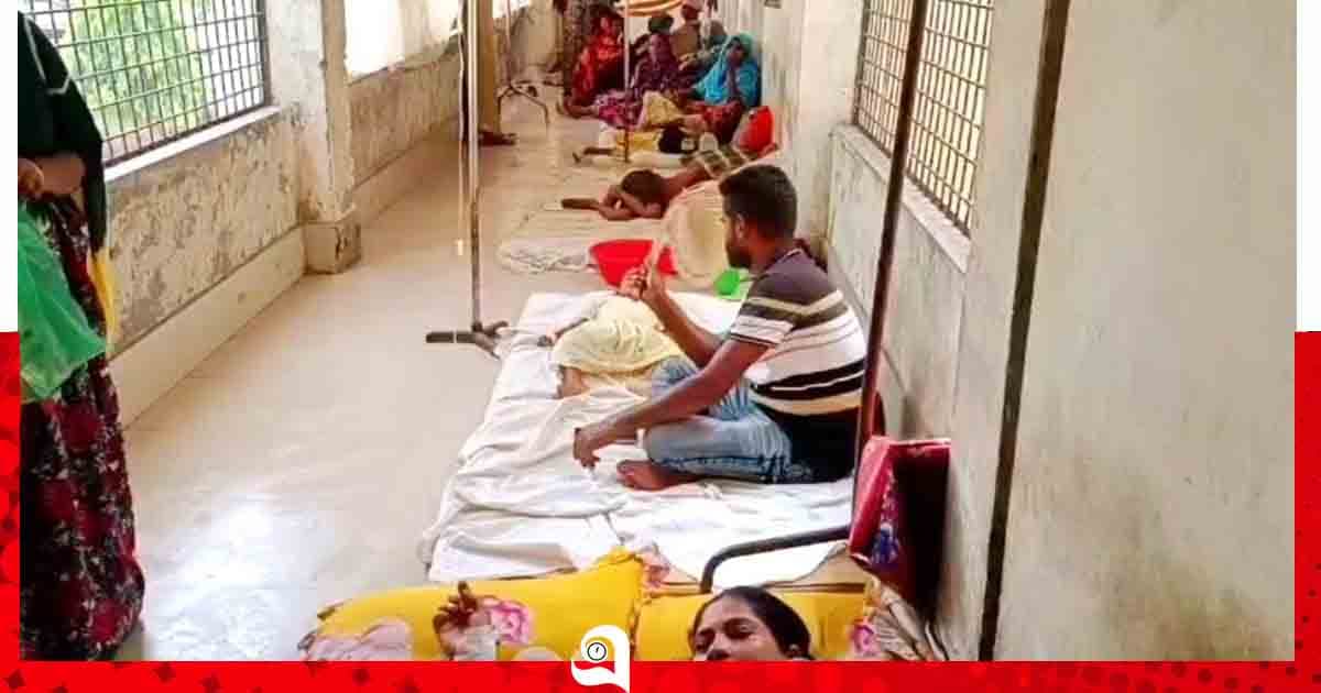জীবননগরে আশঙ্কাজনক হারে বাড়ছে ডেঙ্গু রোগীর সংখ্যা