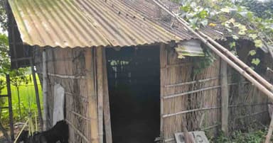 গুরুদাসপুরে ঘরে ছিটকিনি আটকে রেখে ৫ গরু চুরি