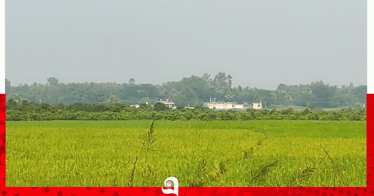 সাপাহারে চারজনকে পুশ ইনের চেষ্টা, বিজিবির বাধা