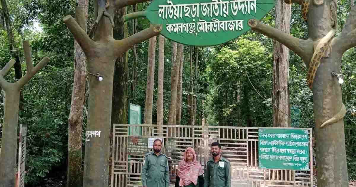 পাঁচ মাস ধরে বেতন বন্ধ, দুর্ভোগে লাউয়াছড়ার বনপ্রহরীরা
