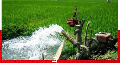 উল্লাপাড়ায় সেচ ও চাষের খরচে দিশেহারা কৃষক