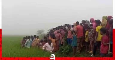 চিরিরবন্দরে ধানখেত থেকে ভ্যানচালকের মরদেহ উদ্ধার