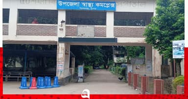 পূজা দেখতে গিয়ে প্রাণ গেল দুই ভাই-বোনের