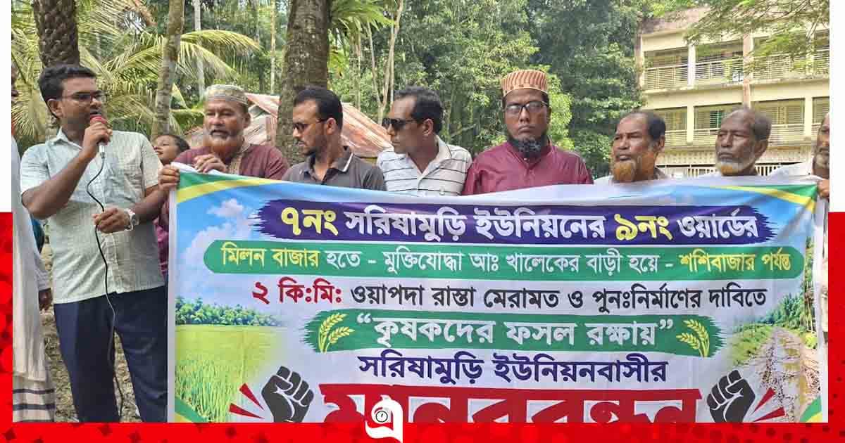 বেতাগীতে ফসল রক্ষায় দুই কিমি জরাজীর্ণ সড়ক মেরামতের দাবি