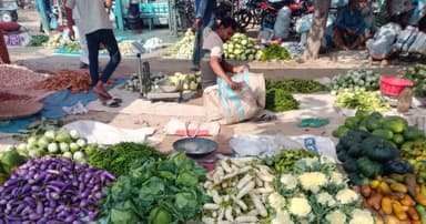 বিরামপুরে আগাম সবজিতে ভরেছে বাজার, নেমেছে দাম