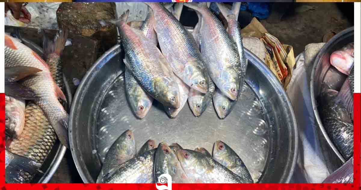 মধ্যরাত থেকেই ২২ দিনের নিস্তব্ধতা