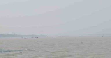 নিষেধাজ্ঞা উপেক্ষা করে পায়রায় অবাধে ইলিশ শিকার