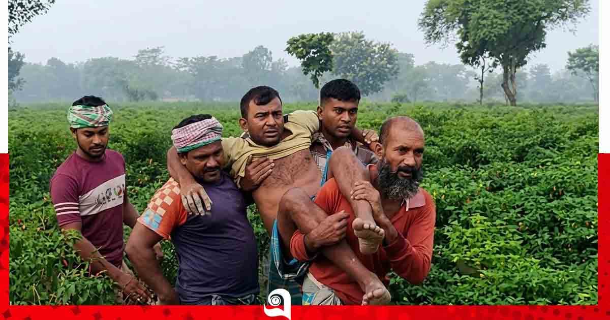 কুষ্টিয়া সীমান্তে বিএসএফের গুলিতে বাংলাদেশি কৃষক আহত