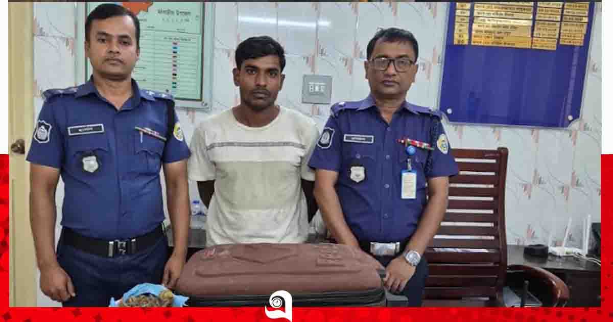 মঠবাড়িয়ায় গাঁজাসহ যুবক গ্রেপ্তার, পলাতক ১