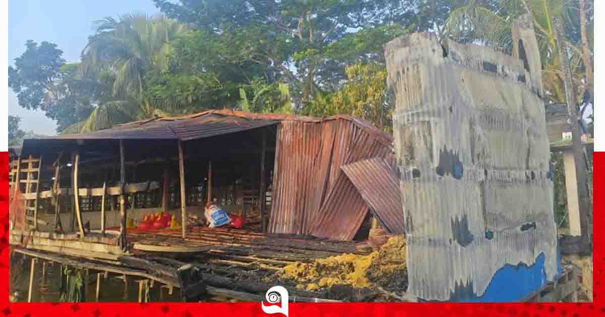 পিরোজপুরে পোল্ট্রি খামারে আগুন, ১৫ লাখ টাকার ক্ষতি