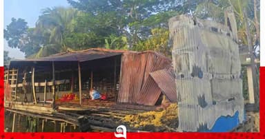 পিরোজপুরে পোল্ট্রি খামারে আগুন, ১৫ লাখ টাকার ক্ষতি