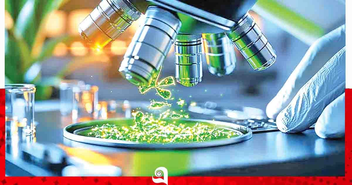 এআই মারণাস্ত্র বানাচ্ছে!