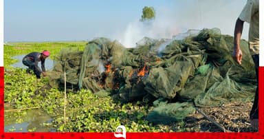 সিংড়ায় অবৈধ চায়না দুয়ারি জাল পুড়িয়ে ধ্বংস