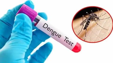ডেঙ্গুতে আরও মৃত্যু ৪