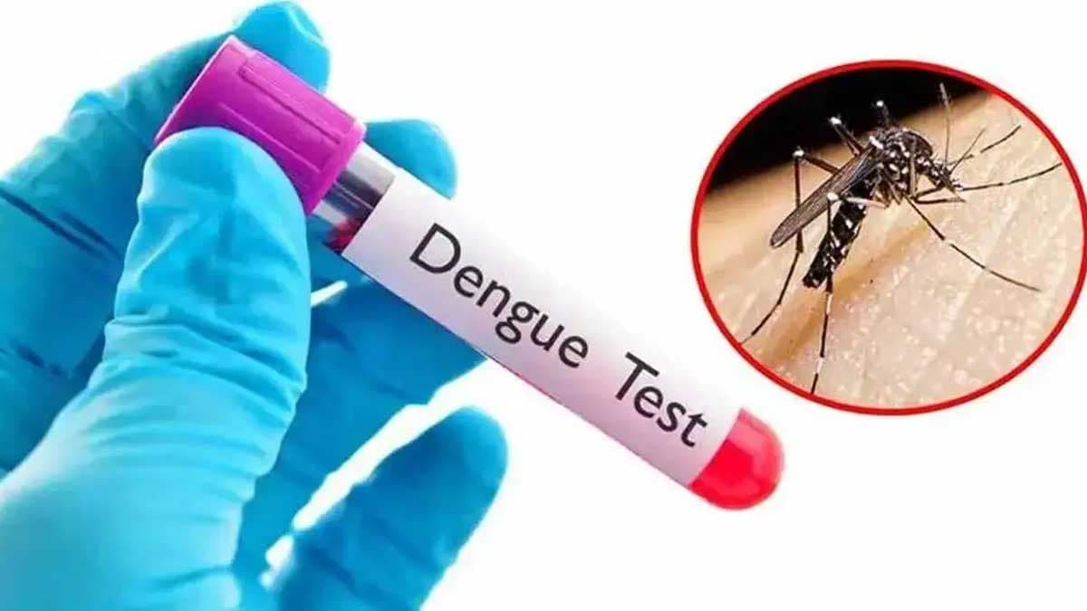 ডেঙ্গুতে আরও মৃত্যু ৪