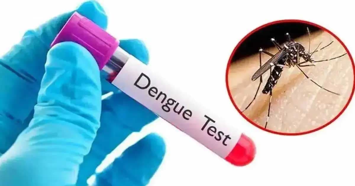 ডেঙ্গুতে আরও ৭ জনের মৃত্যু