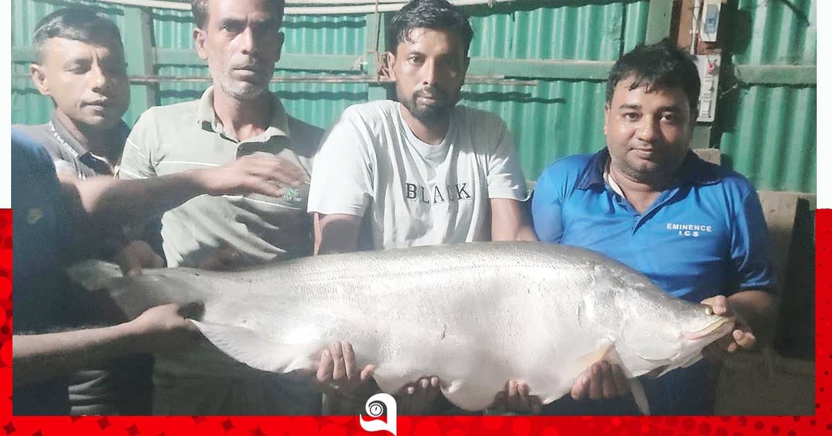 বড়শিতে ধরা পড়ল সাড়ে ১৩ কেজির চিতল