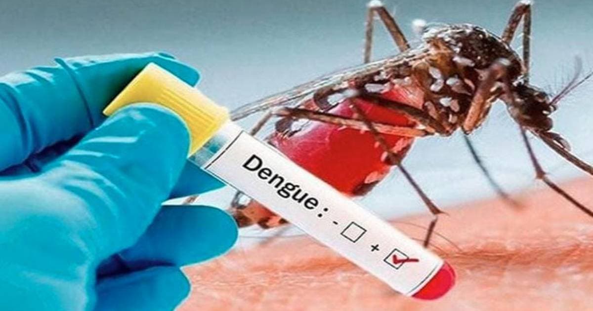 ডেঙ্গুতে আরও ৫ জনের মৃত্যু