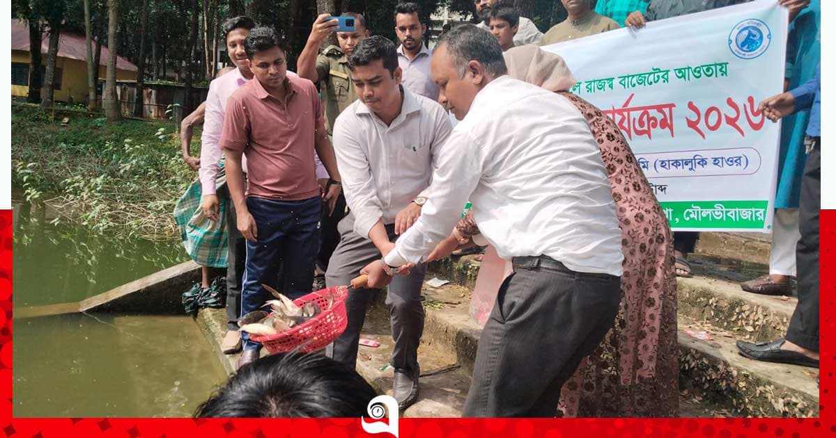 দেশীয় মাছের উৎপাদন বৃদ্ধিতে বড়লেখায় পোনা অবমুক্ত