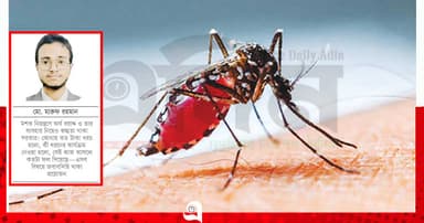 ডেঙ্গুসহ মশাবাহিত রোগ নিয়ন্ত্রণে স্থানীয় সরকারের ভূমিকা