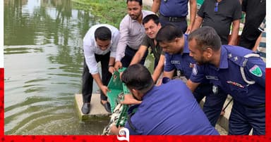 জগন্নাথপুরে ক্ষতিগ্রস্ত জলাশয়ে পোনামাছ অবমুক্ত
