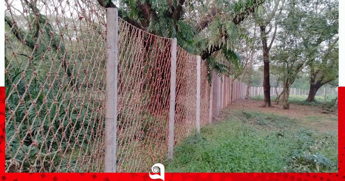 বাঘ-মানুষের সংঘাত ঠেকাতে সুন্দরবনে নাইলনের বেড়া