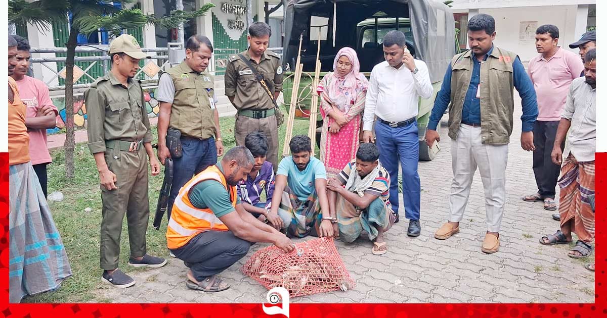 পাখি শিকারের দায়ে ২ জনের কারাদণ্ড