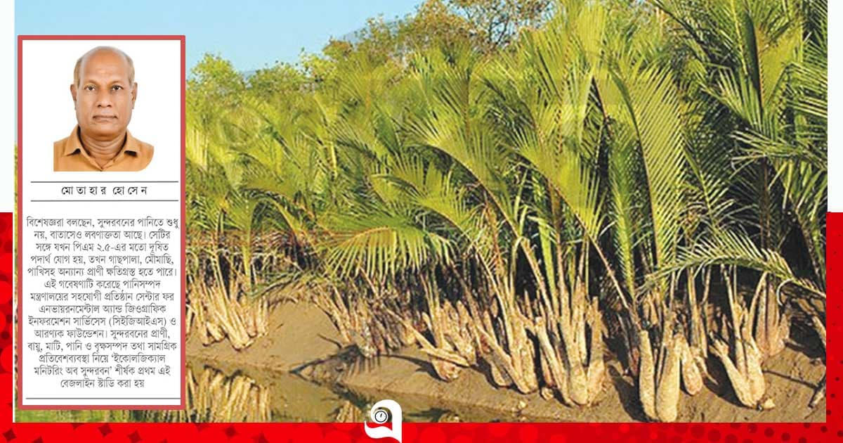 প্রকৃতির ঢাল সুন্দরবন, দূষণে বাড়ছে ঝুঁকি