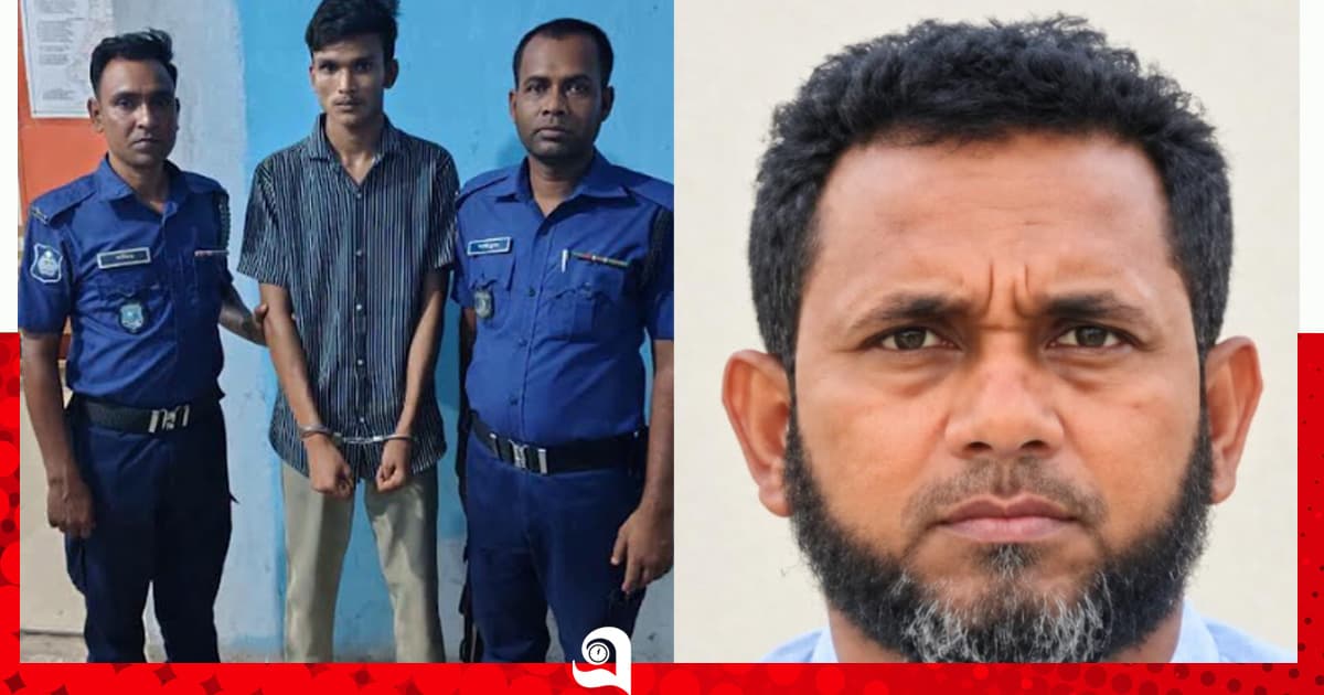 নেছারাবাদে আওয়ামী লীগ ও ছাত্রলীগ নেতা গ্রেপ্তার