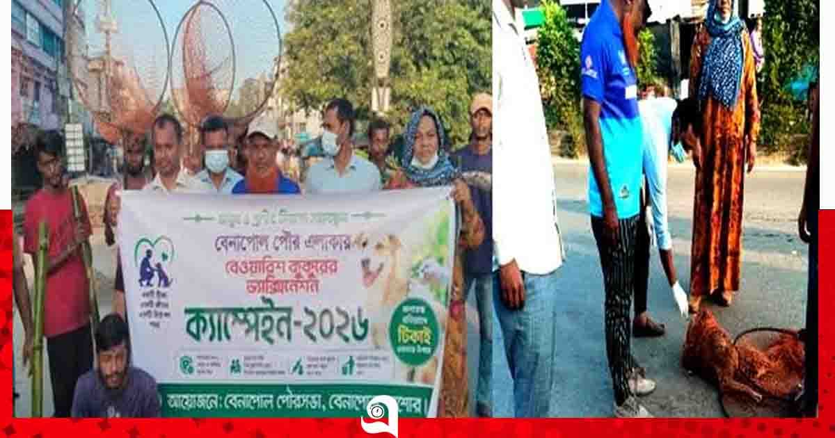 বেনাপোলে চলছে বেওয়ারিশ কুকুরের ভ্যাক্সিনেশন কার্যক্রম
