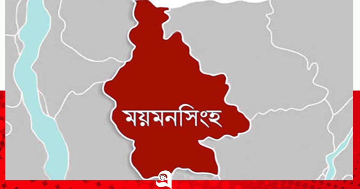 ময়মনসিংহে সিএনজি চাপায় শিক্ষিকা নিহত