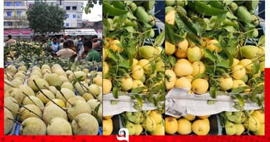 কানসাট আমবাজারের মৌসুম শেষ, তবু কমেনি ব্যস্ততা