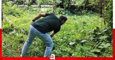 কালীগঞ্জে মশক নিধনে প্রশাসন ও রাজনৈতিক নেতাদের যৌথ অভিযান
