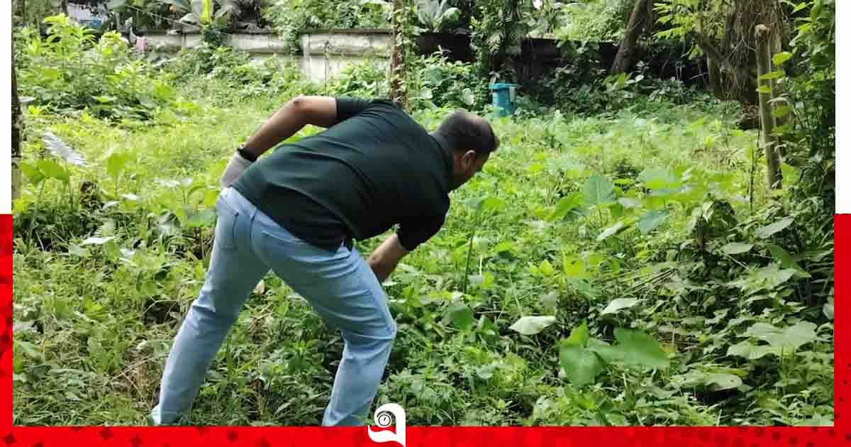 কালীগঞ্জে মশক নিধনে প্রশাসন ও রাজনৈতিক নেতাদের যৌথ অভিযান