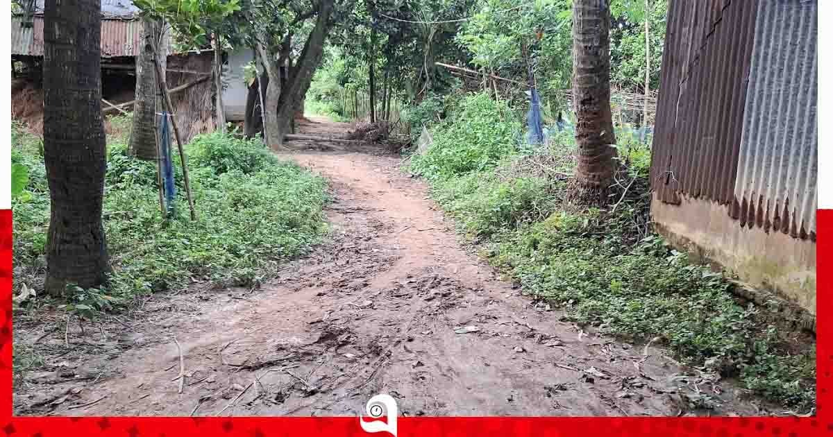 ময়মনসিংহে টিআর, কাবিখা-কাবিটা প্রকল্পে হরিলুট