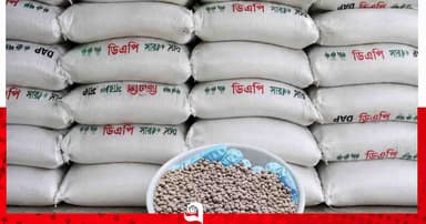 পাবনার দোগাছিতে সার কেলেঙ্কারি, ডিলারের বিরুদ্ধে ক্ষোভ
