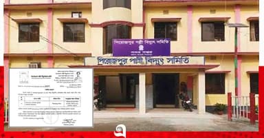 প্রধানমন্ত্রীর বক্তব্যে বিদ্যুৎ বিভ্রাট, পবিস জিএম বরিশালে সংযুক্ত