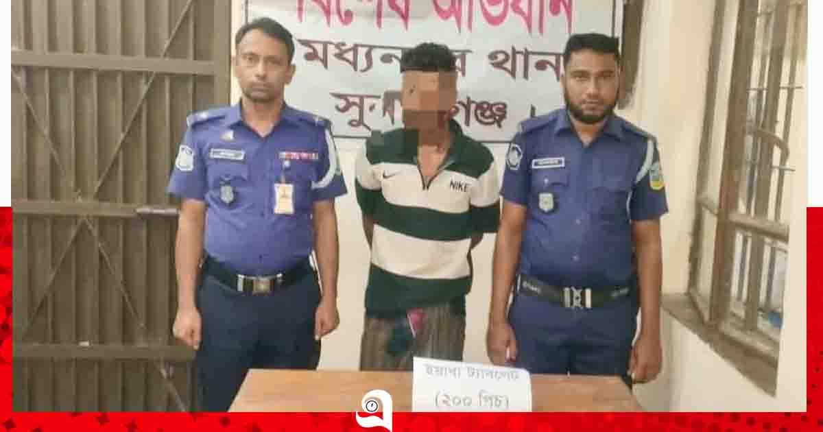 মধ্যনগরে ইয়াবাসহ যুবক আটক